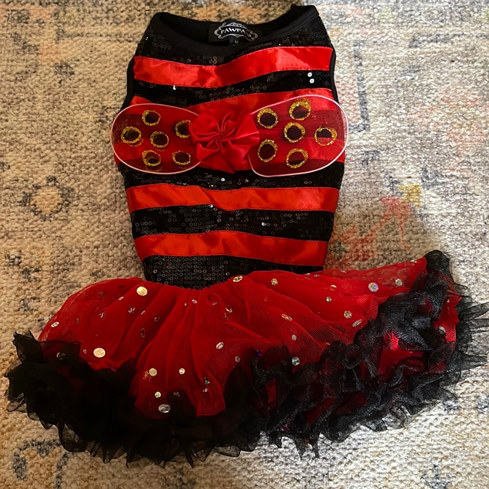 Pawpatu Dog Ladybug costume